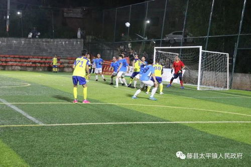 熊貓體育官方下載蘋果版 現場畫面