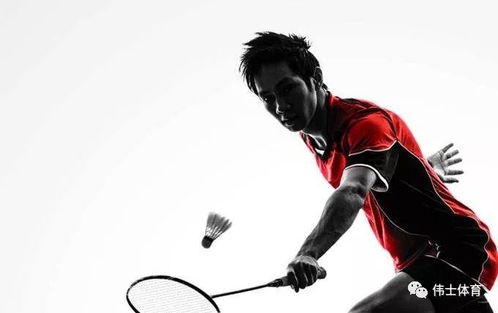 男排聯賽：山東儒辰男排3-1戰勝南京 收獲第四勝