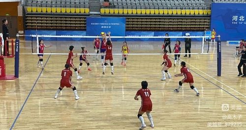 NBA免費直播在線觀看高清無插件 現場畫面