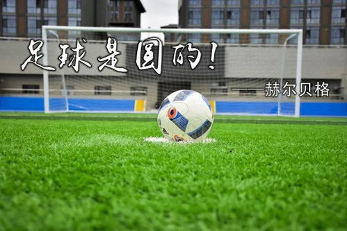 看球網(wǎng)nba直播jrs 封面圖