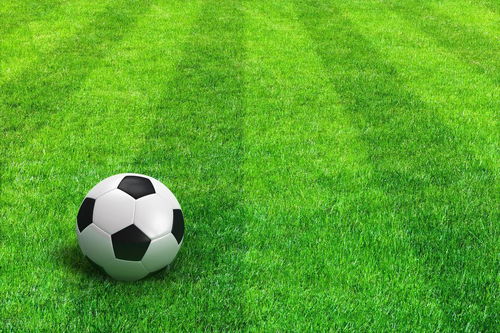 梅西引巨大爭議！FIFA官推被刷屏：搞笑吧？世界杯冠軍管一輩子？